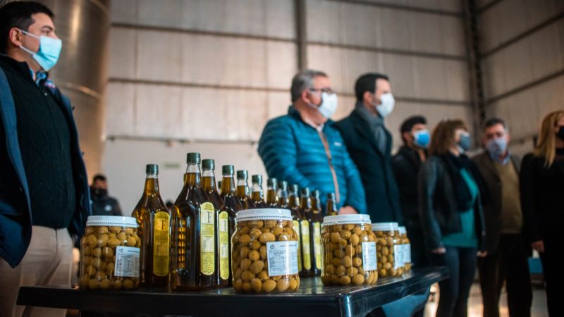 Con préstamo de Capresca, avanza reconversión varietal en Capayán