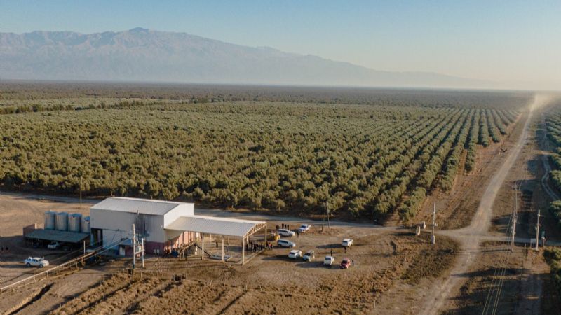 Con préstamo de Capresca, avanza reconversión varietal en Capayán