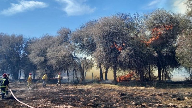 Bomberos controlaron un incendio forestal en Fiambalá