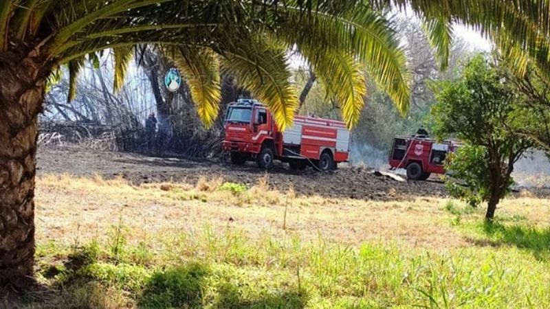 Sofocan incendio de pastizales en Valle Viejo