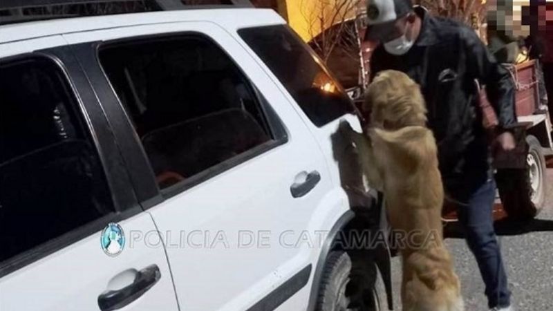 Detenido con droga en un control