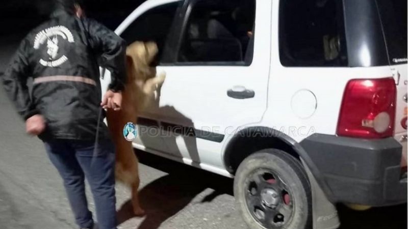 Detenido con droga en un control