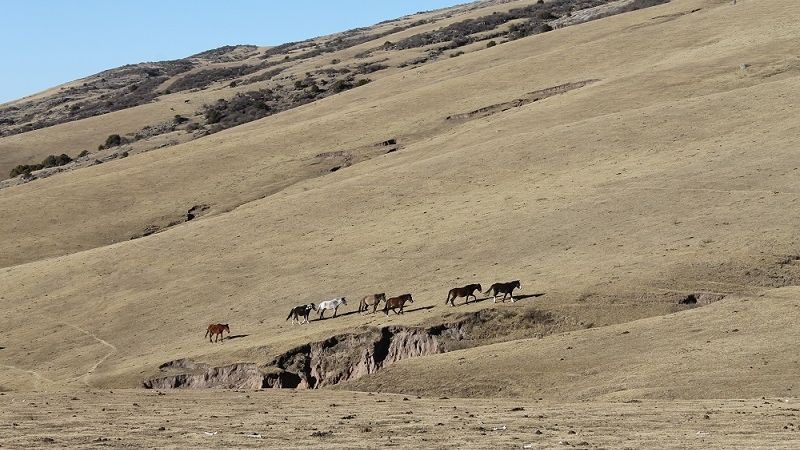 Un Manchao “invernal”, en tres jornadas