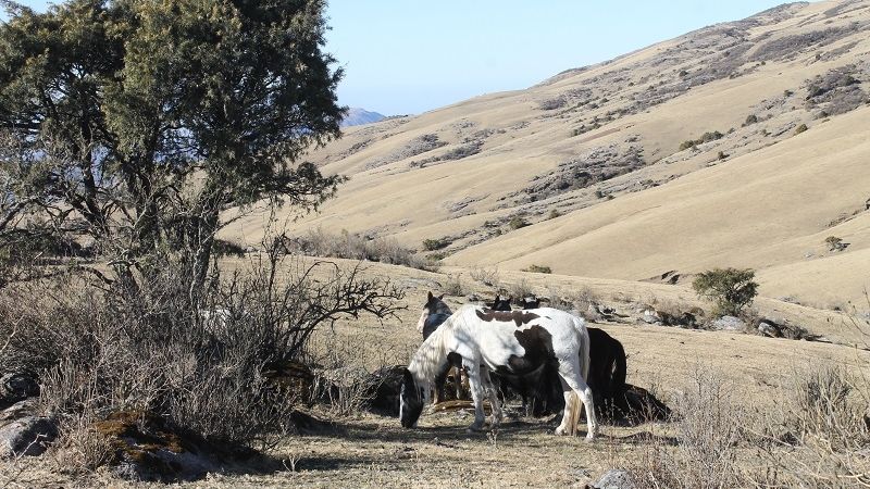 Un Manchao “invernal”, en tres jornadas