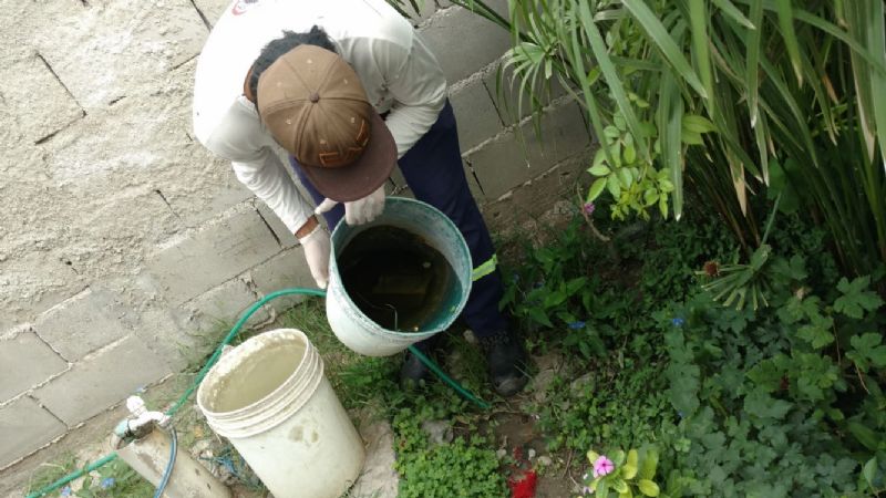 Cronograma de acciones contra el Dengue