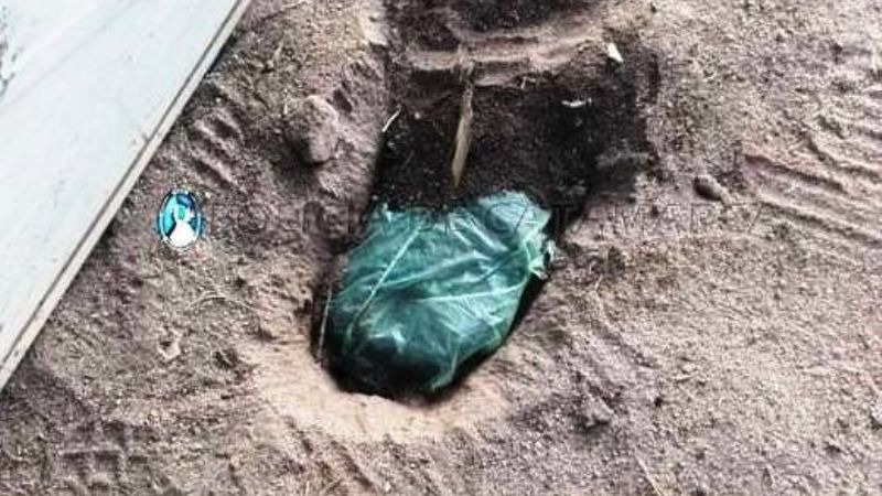 Caso de violencia de género concluyó con droga incautada