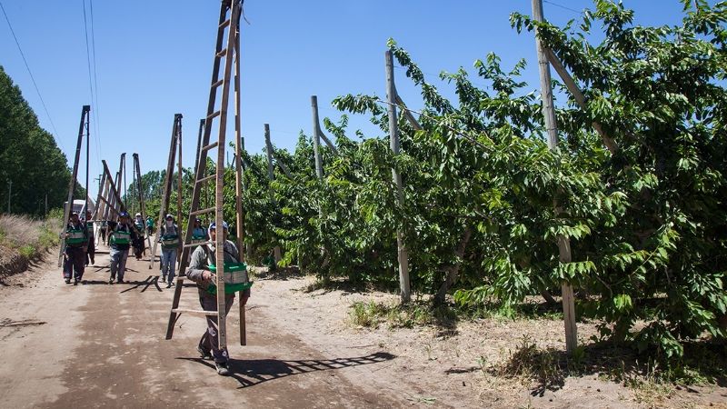 Piden adhesión a la compatibilización de planes sociales con el trabajo rural