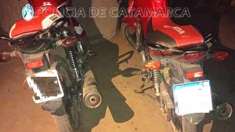 Secuestran elementos relacionados a una riña de gallos en Huillapima