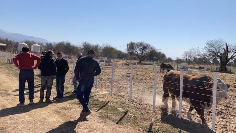 Recorrido por las instalaciones del Frigorífico de Chumbicha