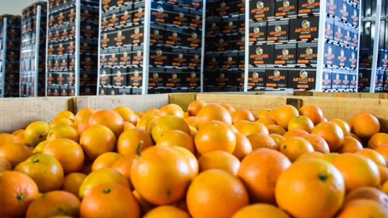 Jalil inauguró planta de procesamiento de citrus