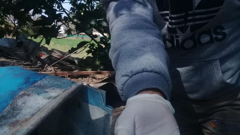 Agosto, mes del Chagas