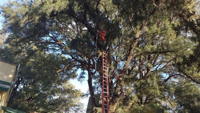 Gestión integral de riesgos