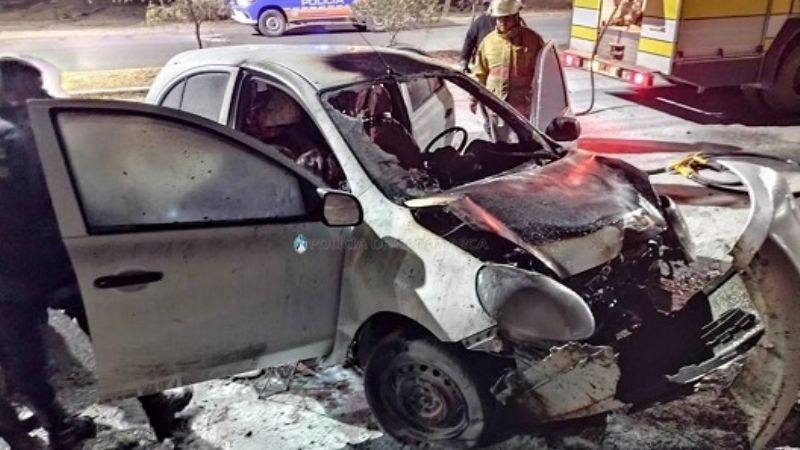 Chocó contra un árbol y el auto se prendió fuego
