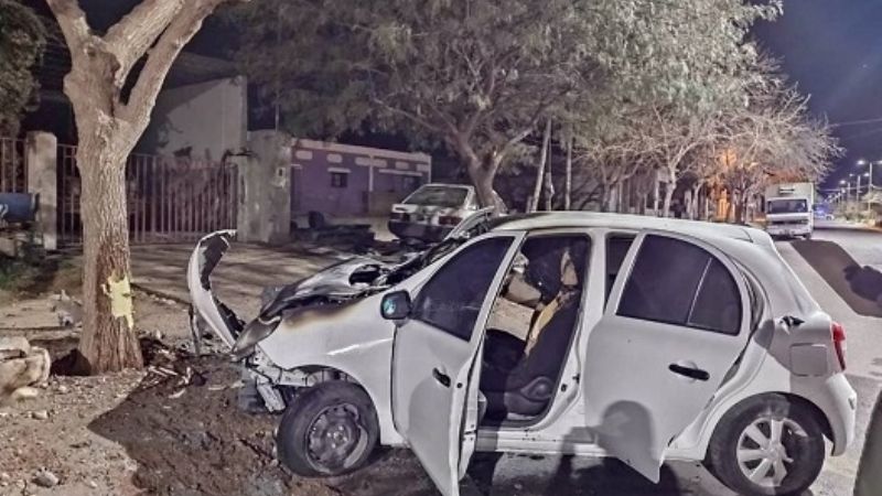 Chocó contra un árbol y el auto se prendió fuego