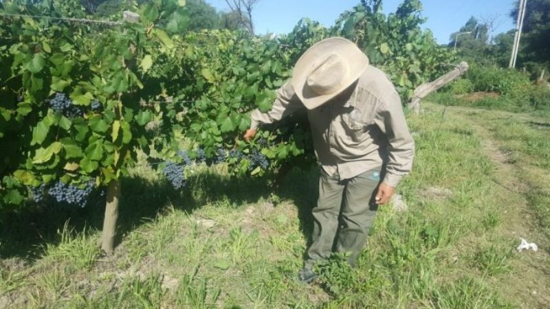 El Programa Hualfín se posiciona en el plano internacional