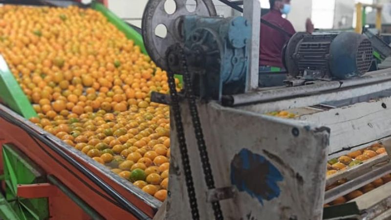 Reunión de trabajo con el sector citrícola