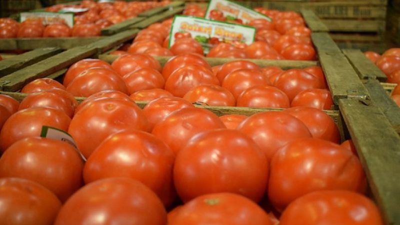 Por temporal en la Costa Atlántica, faltará tomate y morrón