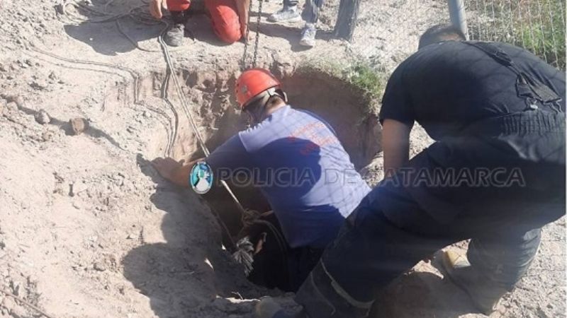Rescatan un caballo que cayó a un pozo