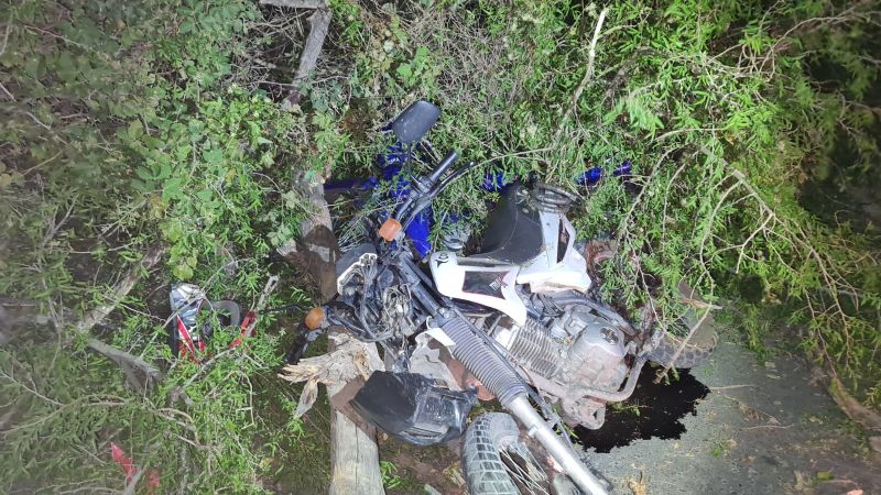 Doble accidente por la caída de un árbol en Valle Viejo