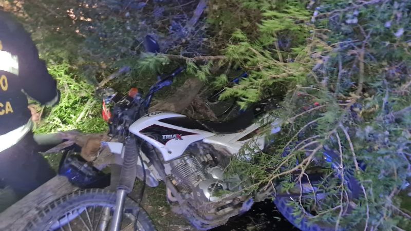 Doble accidente por la caída de un árbol en Valle Viejo