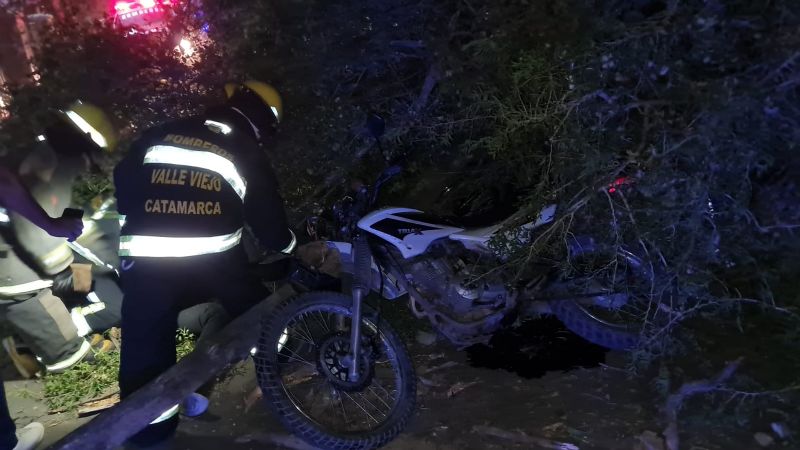 Doble accidente por la caída de un árbol en Valle Viejo