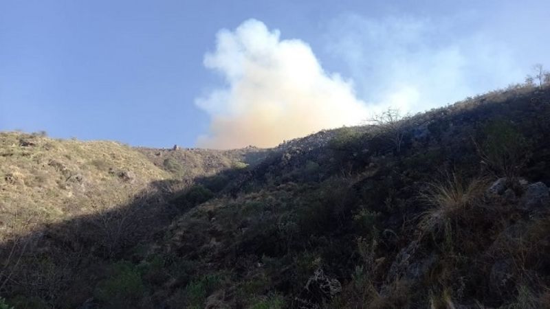 Los Angeles: parte del incendio forestal está contenido