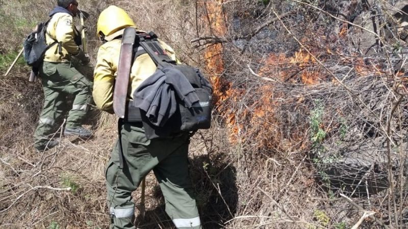 Los Angeles: parte del incendio forestal está contenido