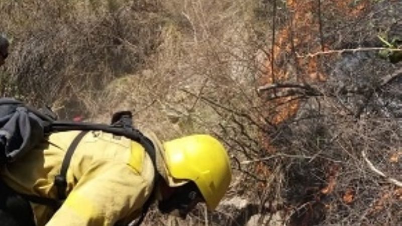 Los Angeles: parte del incendio forestal está contenido