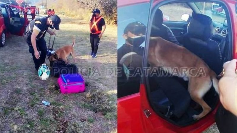En un control descubren que tenía droga