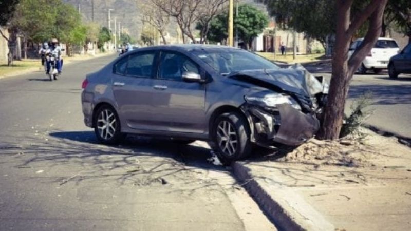 Se durmió y chocó contra un árbol