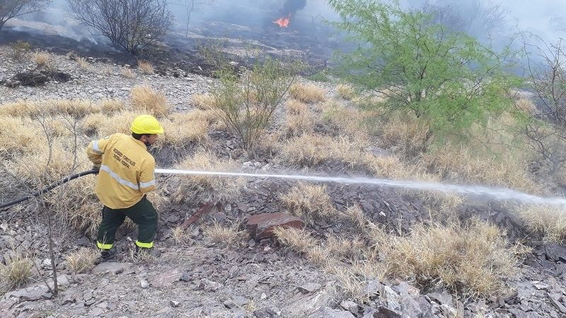 No cesan los incendios forestales en el Valle Central