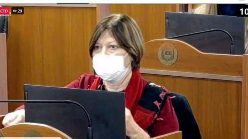 Catamarca tendrá un día para la concientización del síndrome Down