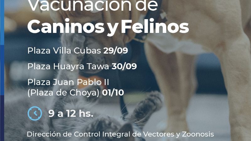 Vacunación de caninos y felinos por el Día Mundial de la Rabia
