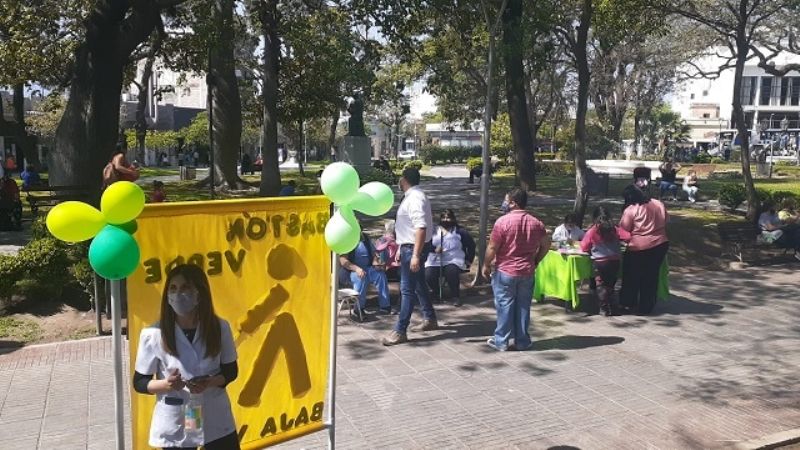 Actividades por el día del Bastón Verde