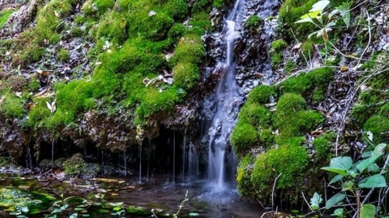 Vecinos en defensa de la Quebrada del Naranjo