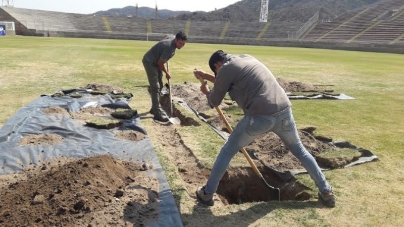 Se trabaja en la muda del césped de invierno al de verano en el estadio Bicentenario