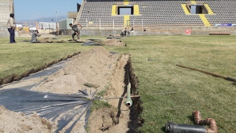 Se trabaja en la muda del césped de invierno al de verano en el estadio Bicentenario