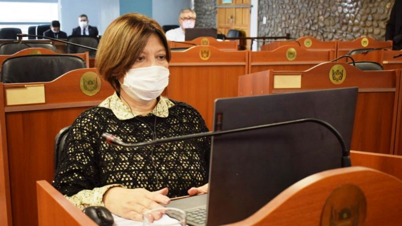 “La adecuación de las instituciones a la ESI era necesaria”