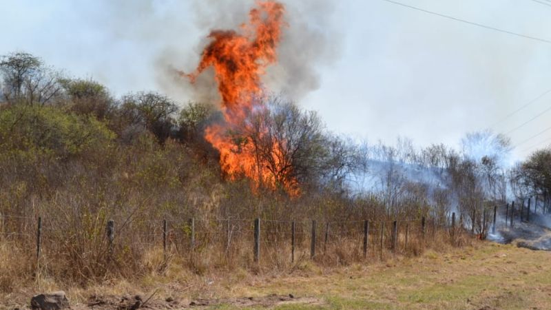 Interrumpen el tránsito en la ruta 4 por un incendio de magnitud