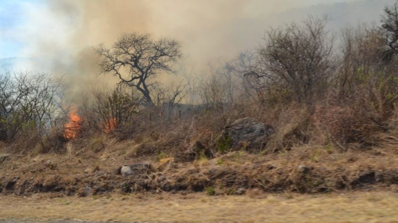 Interrumpen el tránsito en la ruta 4 por un incendio de magnitud