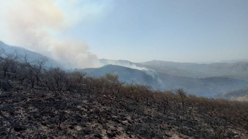 Incendio "intencional" en El Rodeo va consumiendo 80 hectáreas