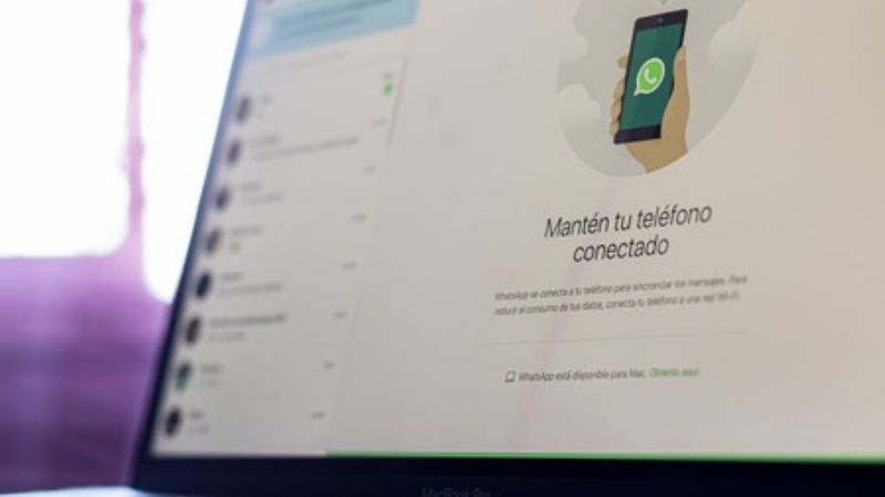 Cómo reportar a un contacto desde WhatsApp Web