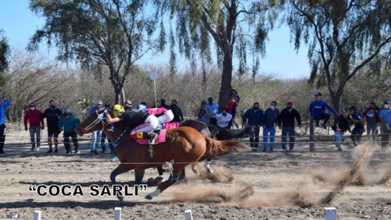 “Coca Sarli” fue más que “Ainara” en el Hipódromo de Miraflores
