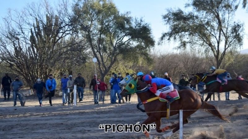“Coca Sarli” fue más que “Ainara” en el Hipódromo de Miraflores
