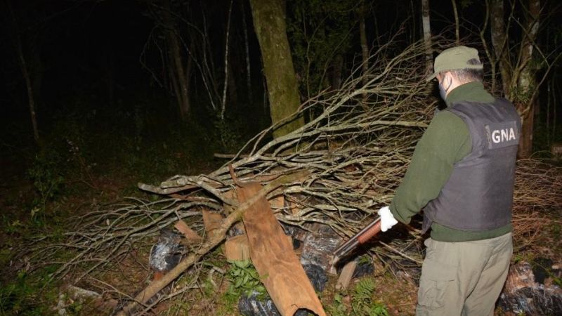 Escondían más de una tonelada de marihuana en el monte