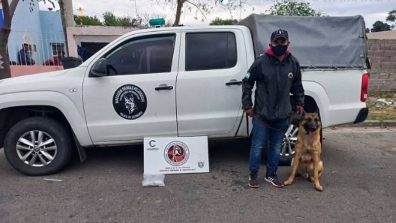 Incautan 67 gramos de marihuana y 19 de cocaína