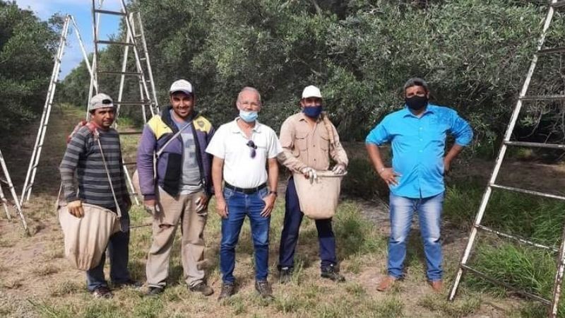 Destacan los beneficios de la compatibilidad del trabajo rural con planes sociales