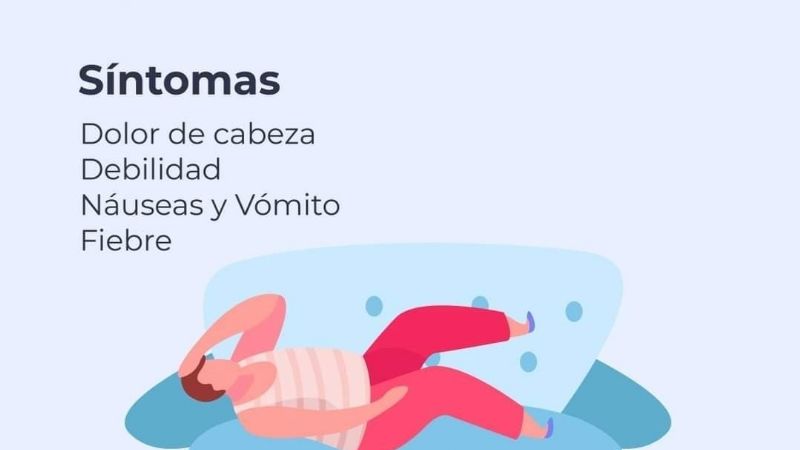 ¿Qué hacer para evitar el golpe de calor?