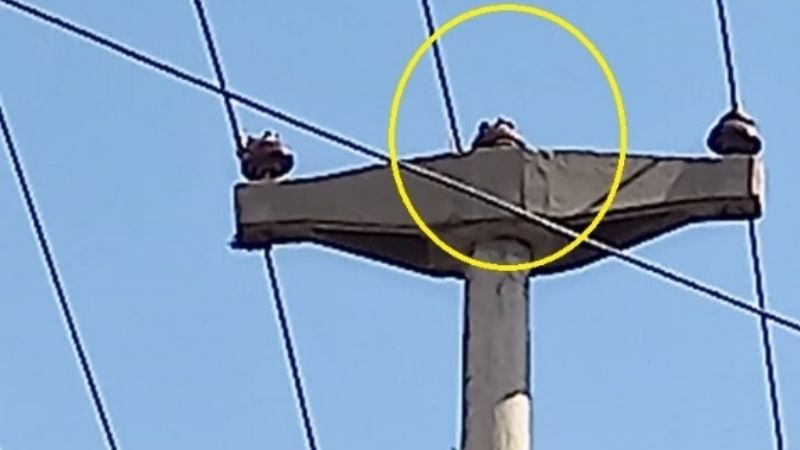 La rotura de un aislador deja sin luz a parte del Centro