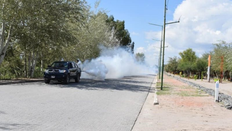 Santa María refuerza tareas de fumigación y desinfección